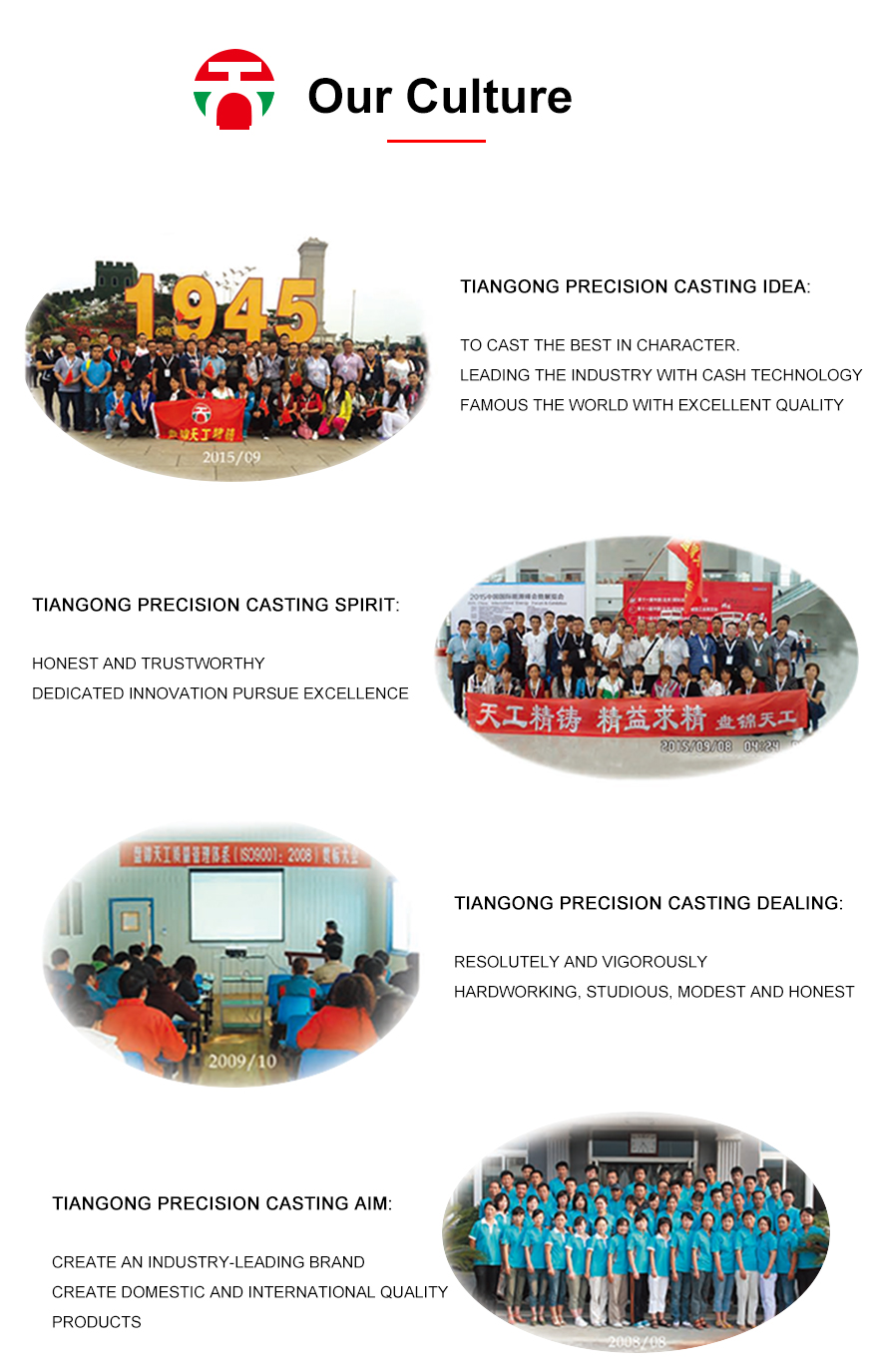 Liaoning Panjin Tiangong Präzisionsguss Co., Ltd.